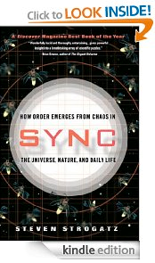 Sync Book Cover 