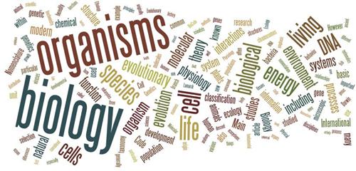 biology wordle 